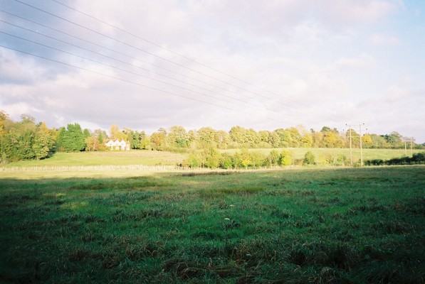 A quiet lane through the English countryside