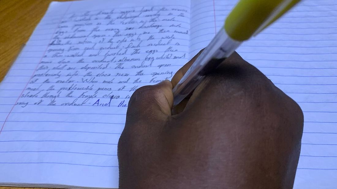 A pen resting on a sheet of paper