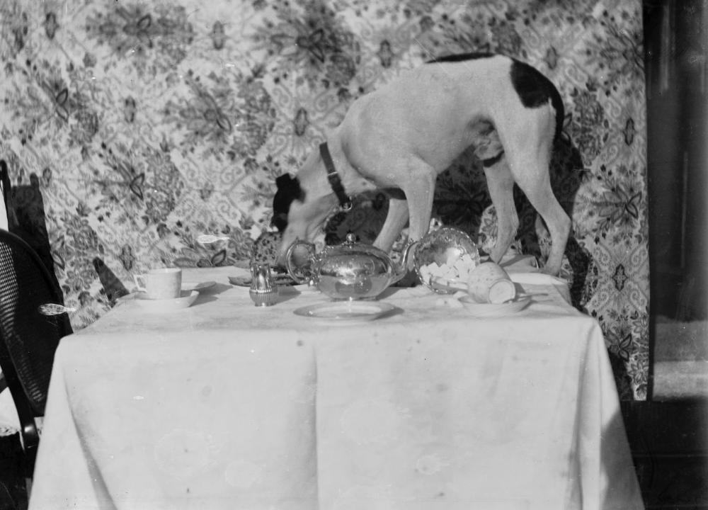 A table set for tea